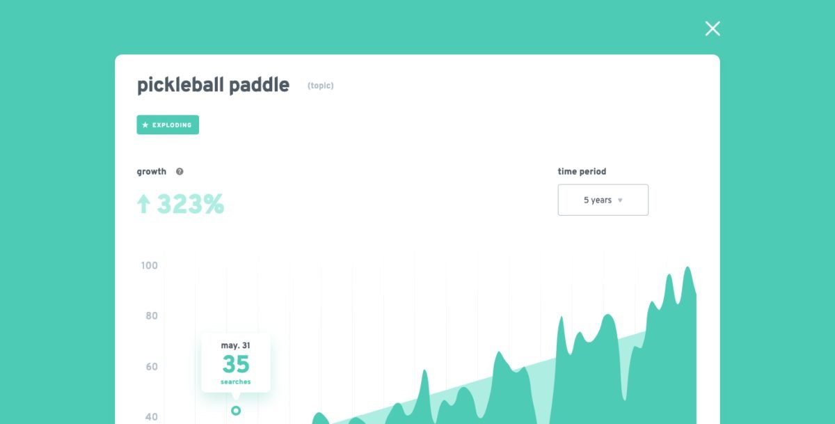  Pickleball Paddles Exploding topics