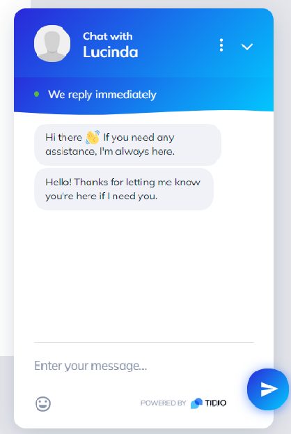 Ejemplo de chat en vivo de Tidio