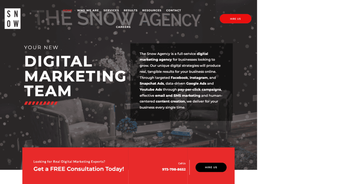 The Snow Agency